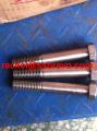 Duplex stainless steel 2205 hex bolt UNS S318031.4462 318LN patial thread
