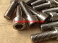 SAF2205 socket screws