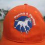 Ponies for parties