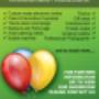 The Party Mammas flyer
