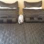 Willow Manor Brits Guest House Room 4