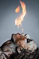 In Africa, witchcraft faruku refers to the supernatural power +27780079106