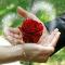 Love-Spells