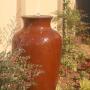 Water Feature