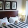 The Mocha suite