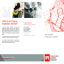 IPI Brochure