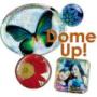 Dome Decals