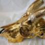 Skull - Gold plated