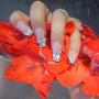 Gel, Acrylic, Silk, Fibre