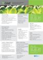 Accounting Services
