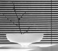 Blinds