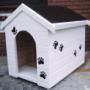 Painted Kennels