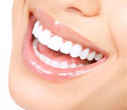 Periodontist Dr.A.P.Dippenaar