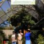 Welcome to the Growing Green Nursery