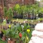 nursery
