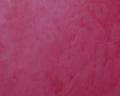 Venetian Stucco