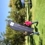 Working at a Golfday