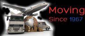 Movit-International