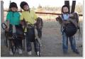 Nature Kids Horse Riding