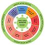 Herbalife nutrition wheel