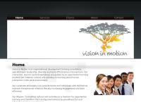 Vision in Motion Consulting's website
