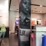 Pillar wraps