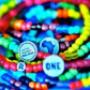 Relate Bracelets
