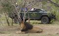 Accommodation - Kapama River Lodge