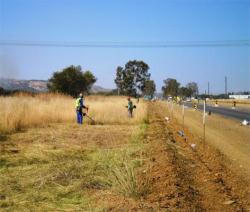Ts Veld Grass Cutting Service