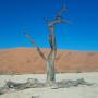 Namibia