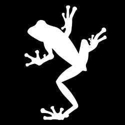 Frogworks Studio
