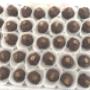 Coffee truffles