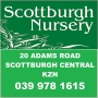 Scottburgh Nursery