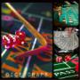 Dice/Craps