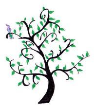 Toni Muller Counselling Psychologist