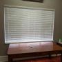 50mm Plaswood blind