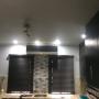 Basswood blind