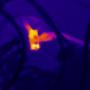 Critical Fault on Boiler Elements