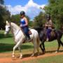 Horse riding Johannesburg