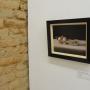 D-Street Gallery