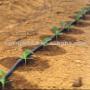 Toro drip Systems