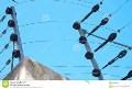 Electric Fencing