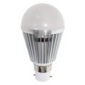 LED Globes