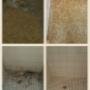 Before and After