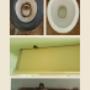 Cleaning Before and After