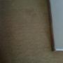 Carpet After B