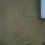 Carpet Before B