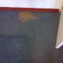 Carpet Before