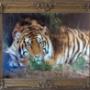 Picture Framing