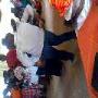 Crusade Revival a glimpse